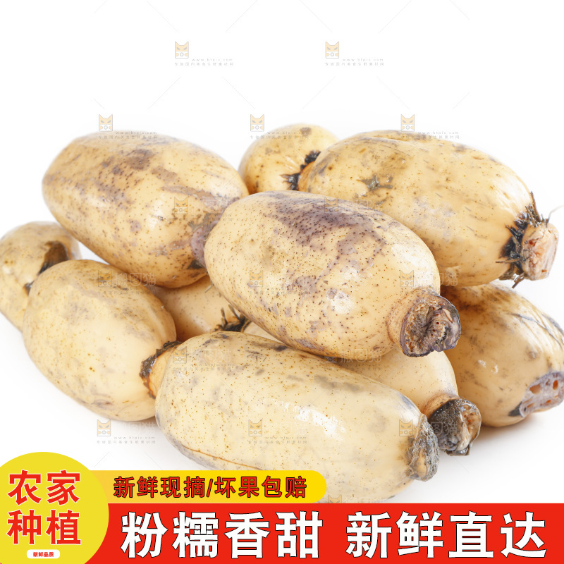 白底上放着一堆莲藕
