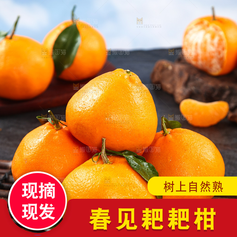 竹底上放着一盘春见耙耙柑