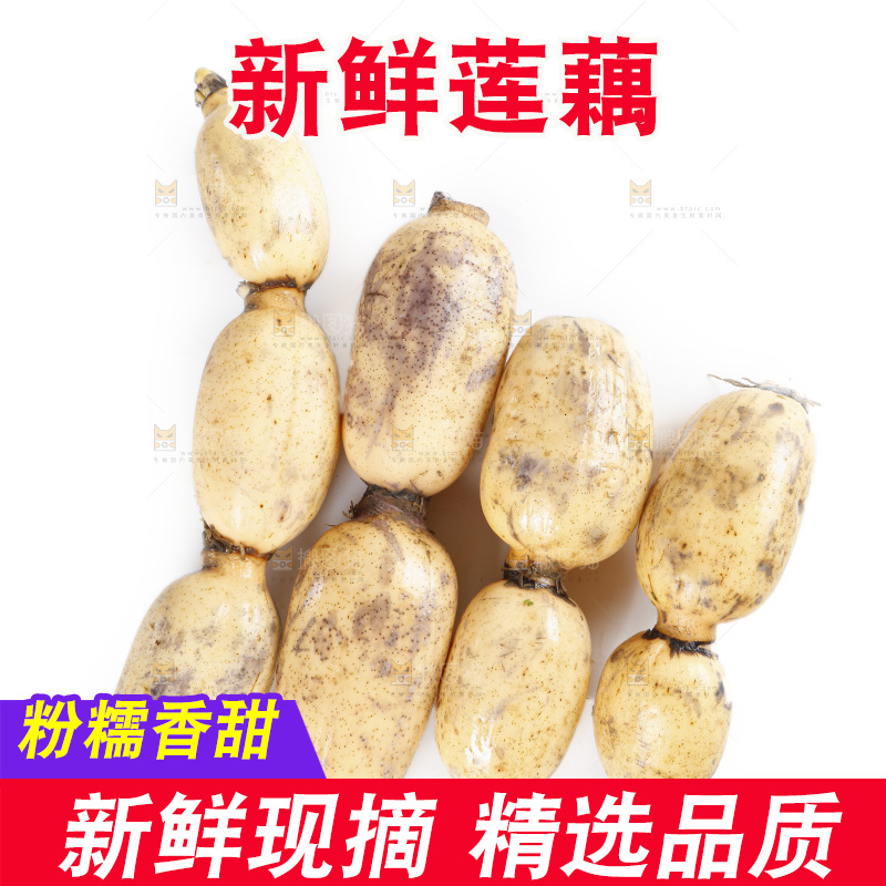 白底上放着一堆莲藕
