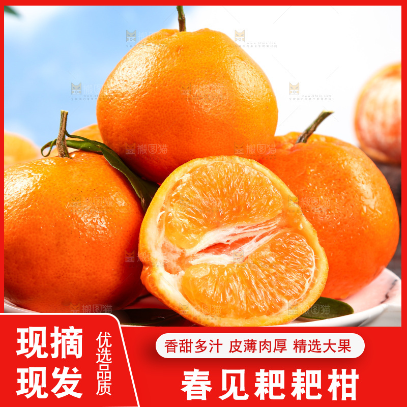 盘子里的四川春见耙耙柑