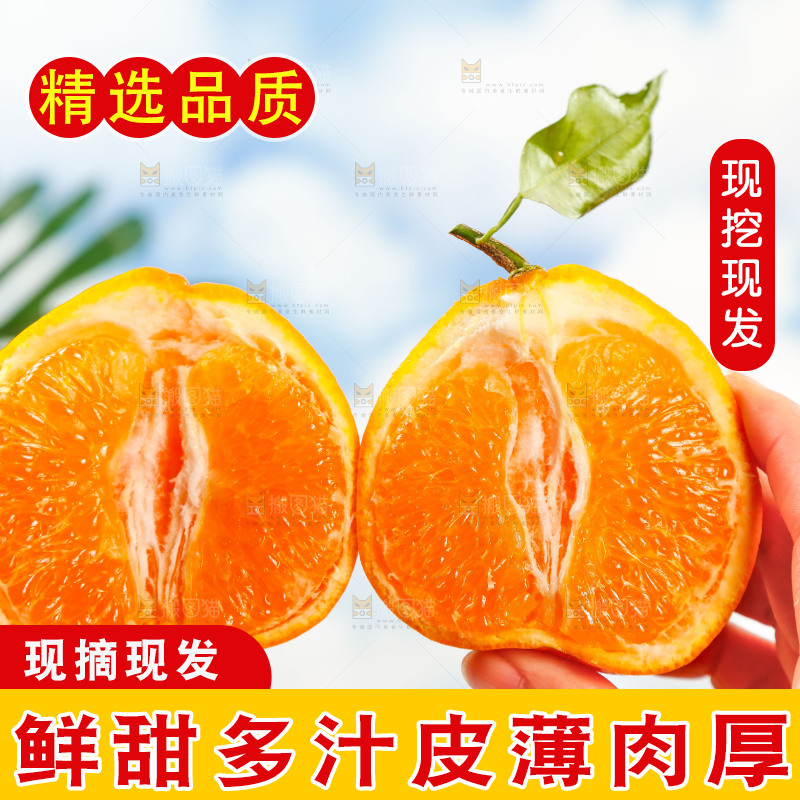 手里拿着四川春见耙耙柑