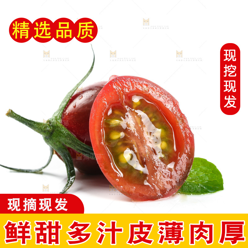 白底上的新鲜小番茄