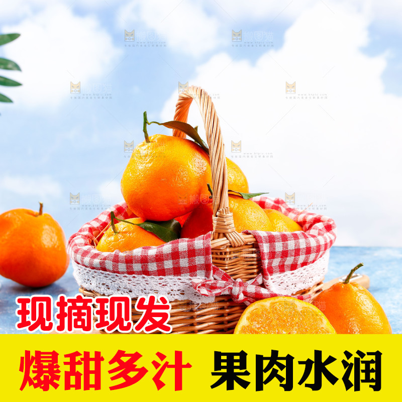 篮子里装着春见耙耙柑
