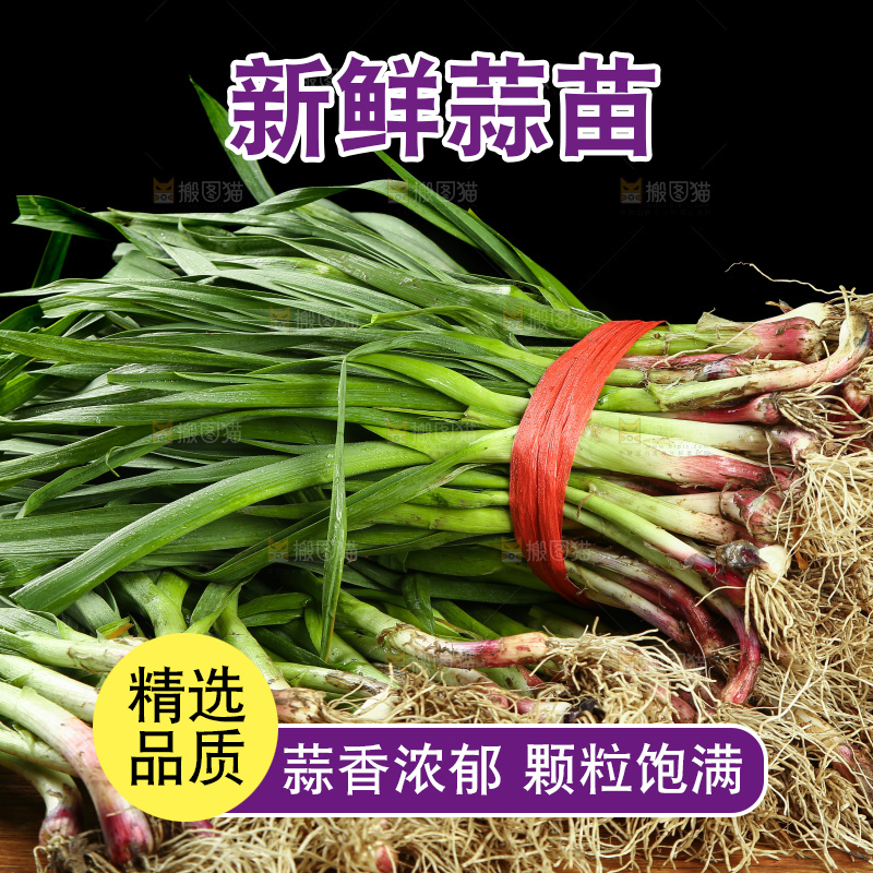 木底上放着一堆红皮蒜苗