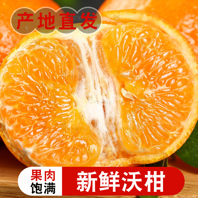 木板上放着广西武鸣沃柑