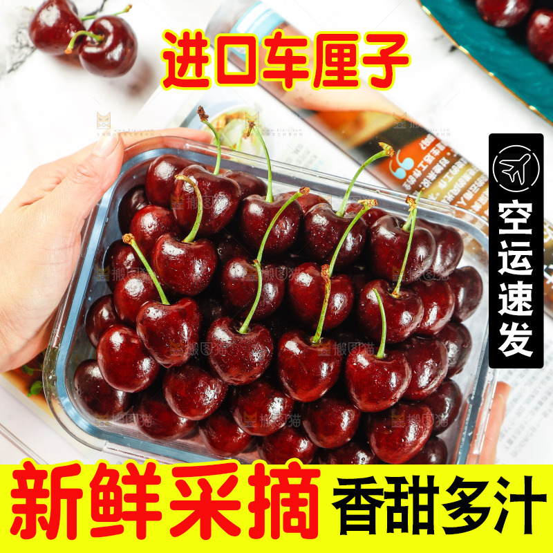 手里端着一碗新鲜车厘子