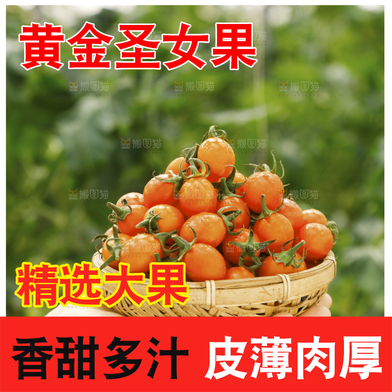 手里捧着一篮子黄金圣女果