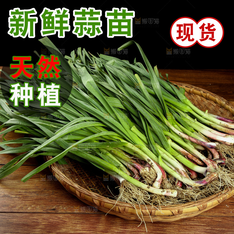 木底上放着一篮大蒜苗
