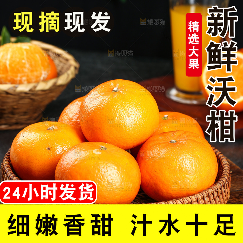 篮子里装着广西沃柑