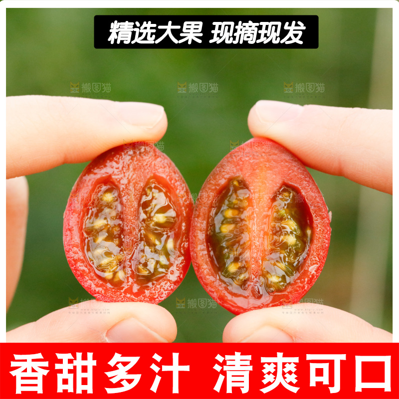 手里拿着切开的珍珠小番茄