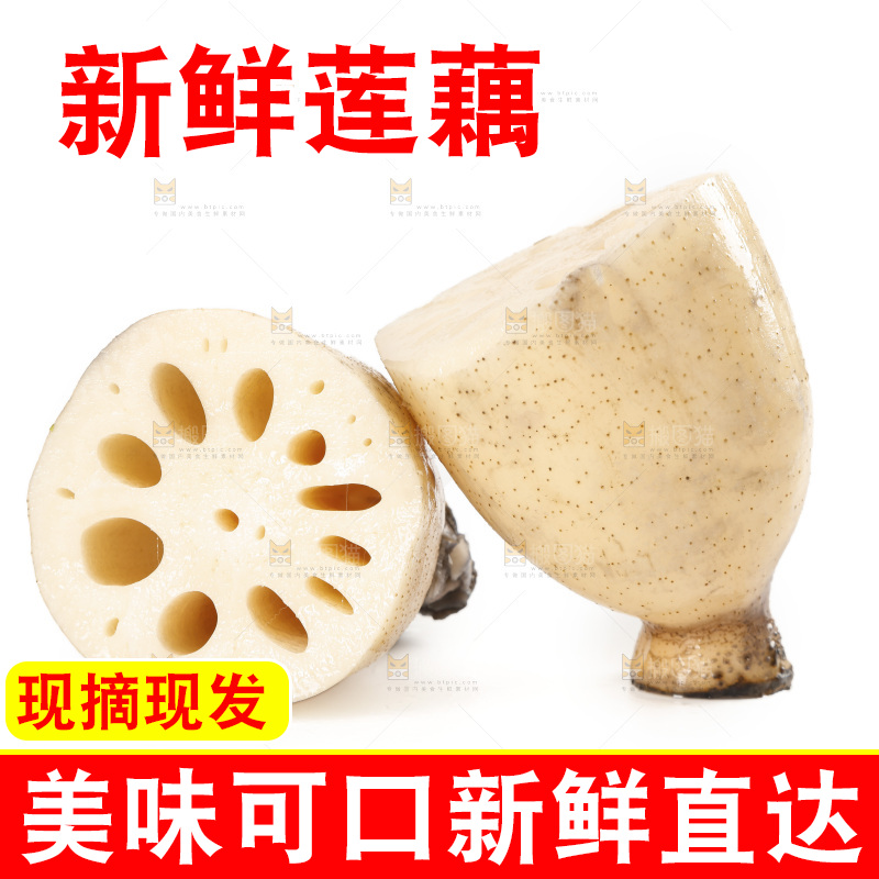 白底上切开的洪湖莲藕
