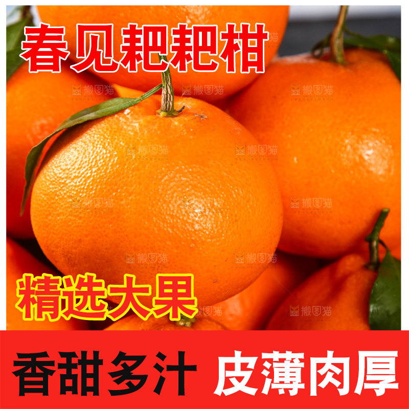 篮子里的新鲜耙耙柑