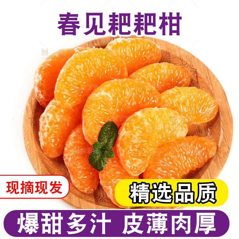 碟子里装着春见耙耙柑果肉