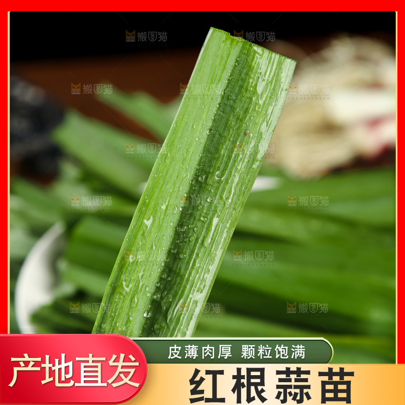 手里拿着蒜苗