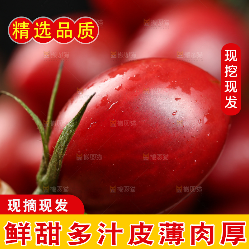 手里拿着新鲜小番茄