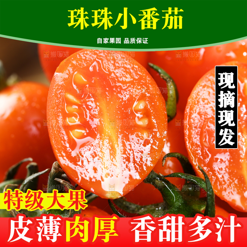 一堆小番茄