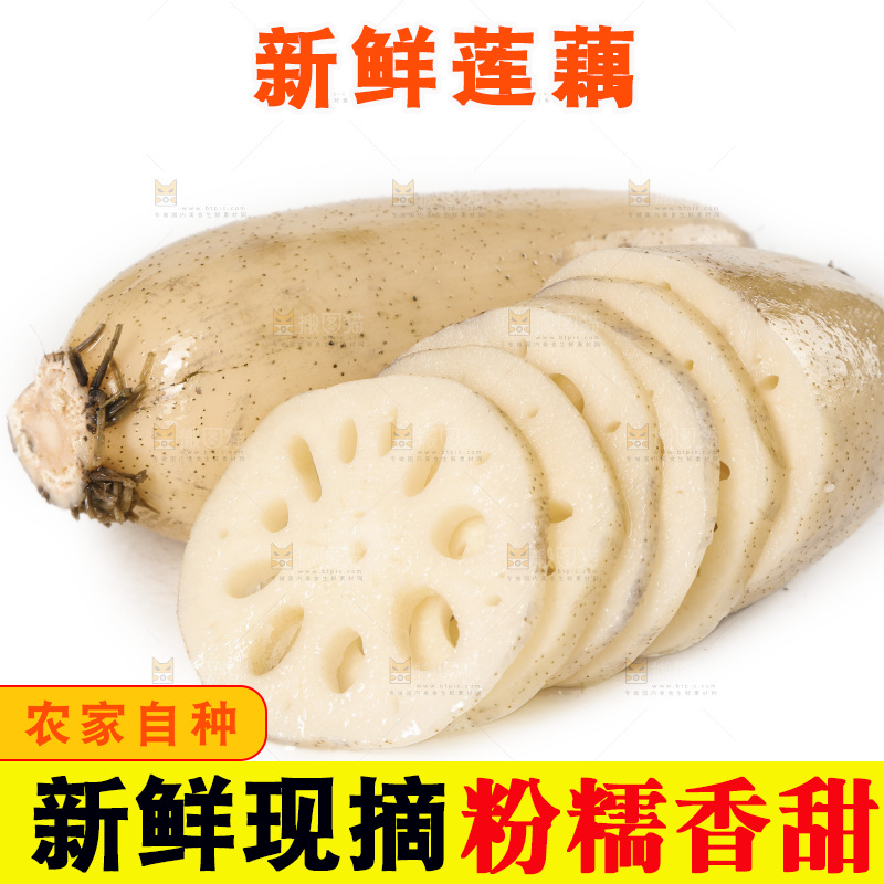 白底上的洪湖莲藕切片