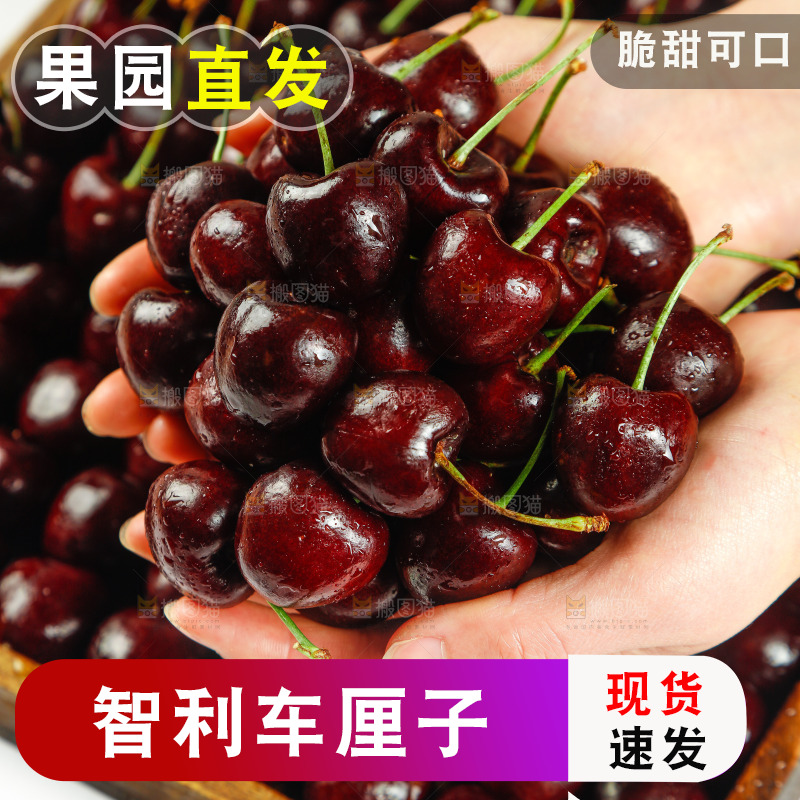 手里捧着进口车厘子