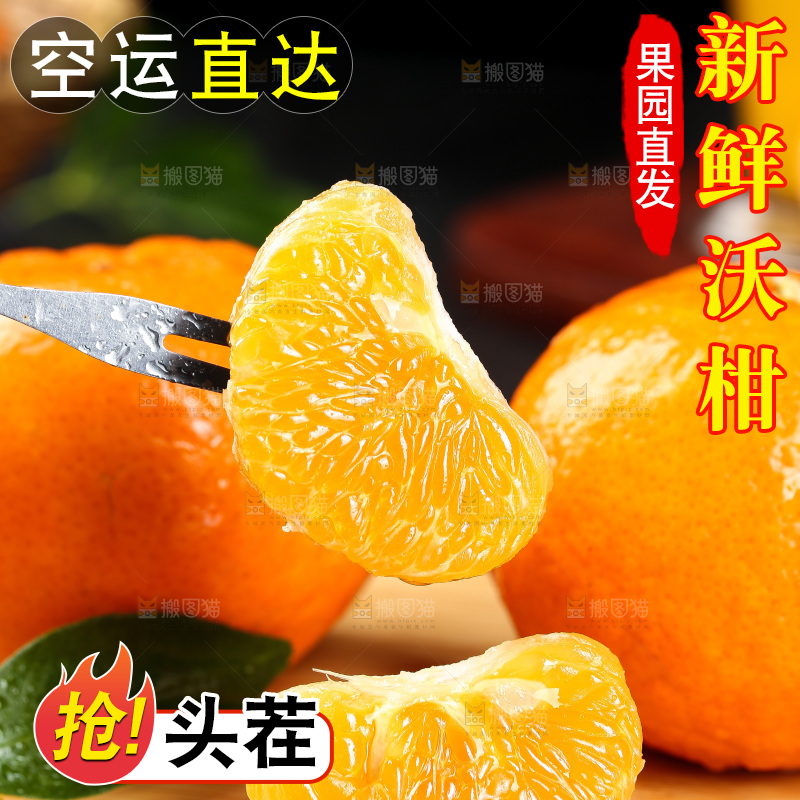 叉子上插着沃柑果肉