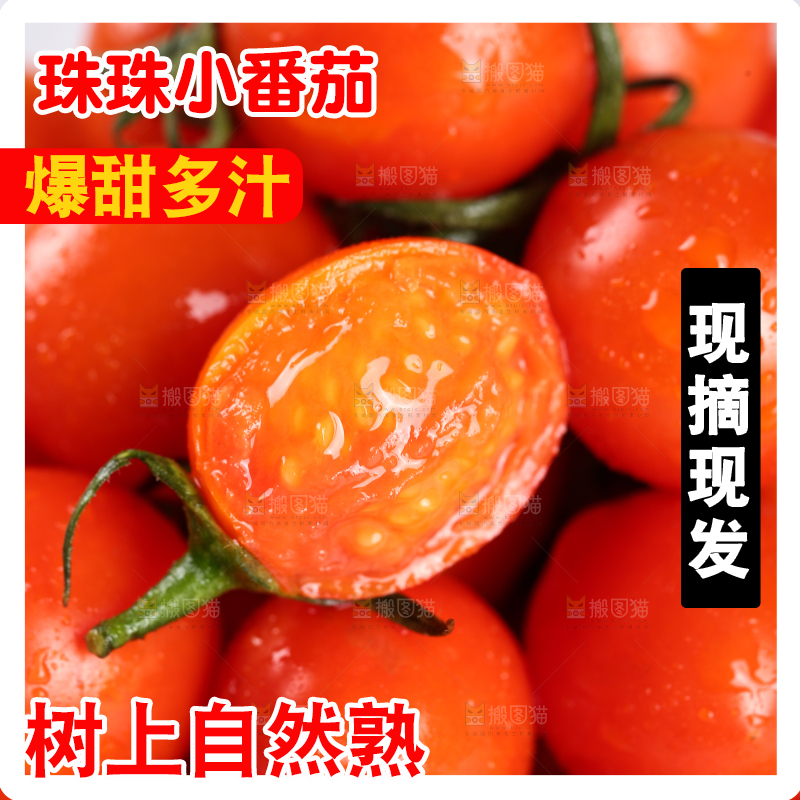 一堆新鲜珠珠小番茄