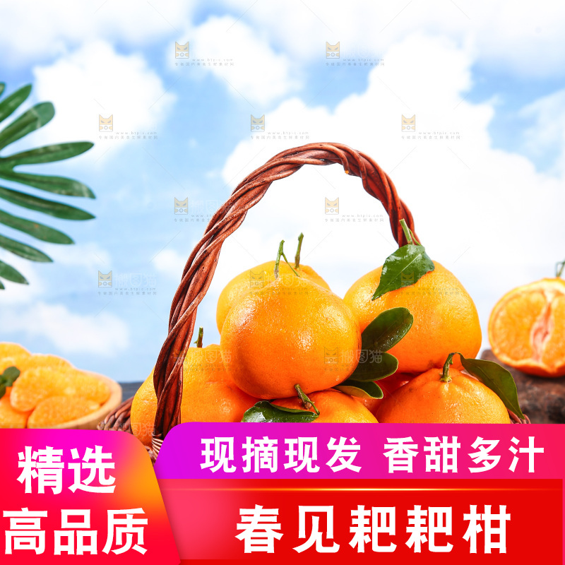 黑底上放着一篮春见耙耙柑