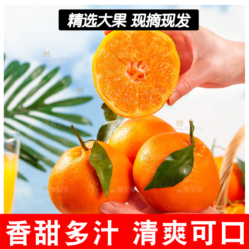 手里拿着四川春见耙耙柑