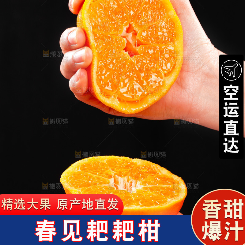 手里捏着春见耙耙柑