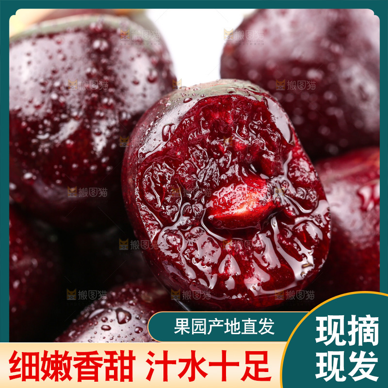 一堆新鲜车厘子