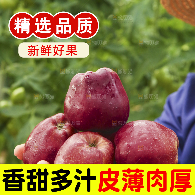 手里捧着花牛苹果