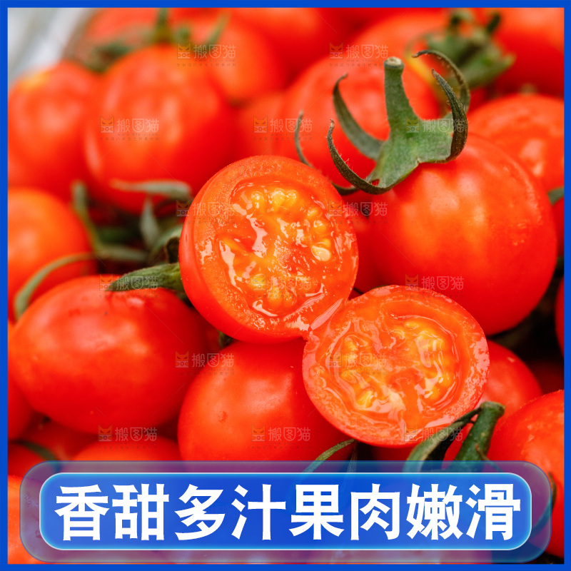 盒子里装着珠珠小番茄