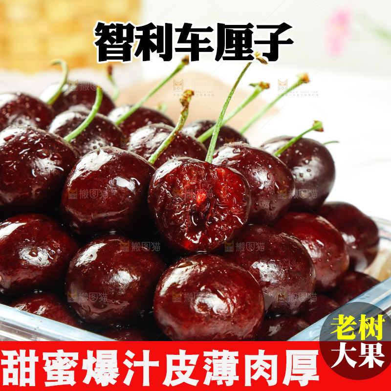 碗里装着黑珍珠车厘子