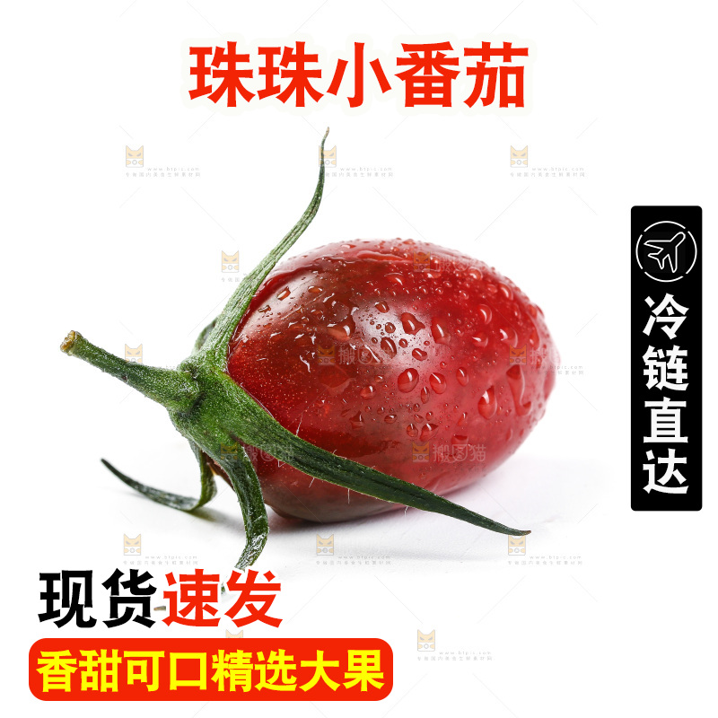 白底上的新鲜小番茄