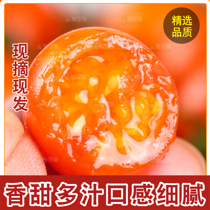 手里拿着小番茄