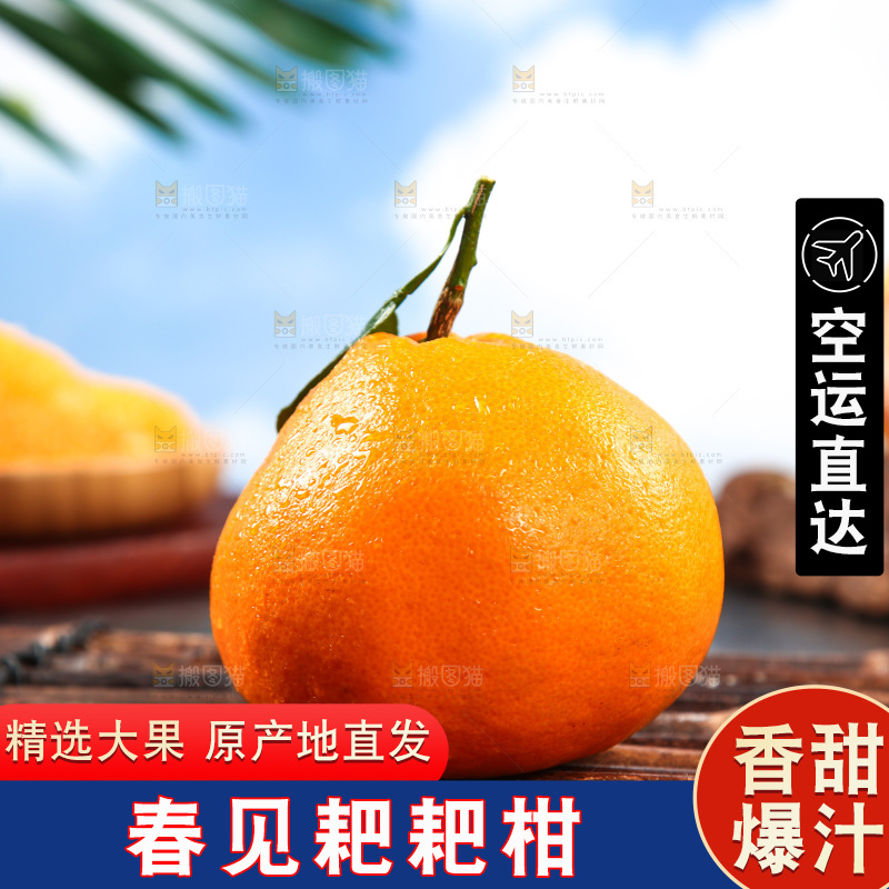 竹底上放着春见耙耙柑