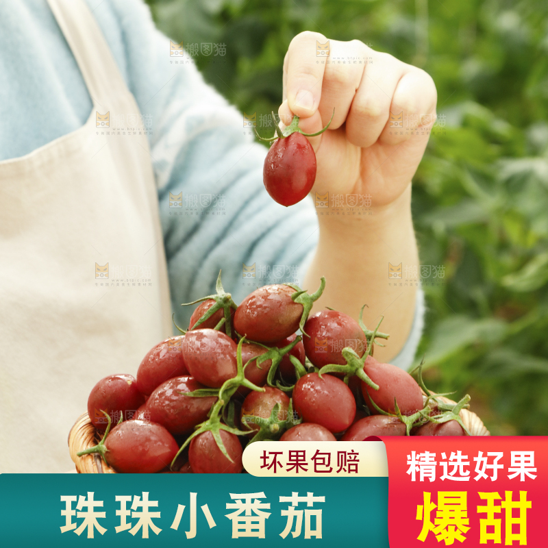 手里端着一篮珠珠小番茄