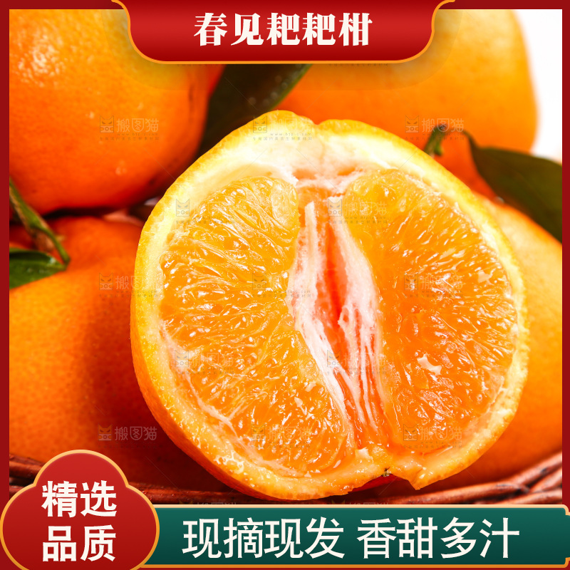 篮子里装着新鲜耙耙柑
