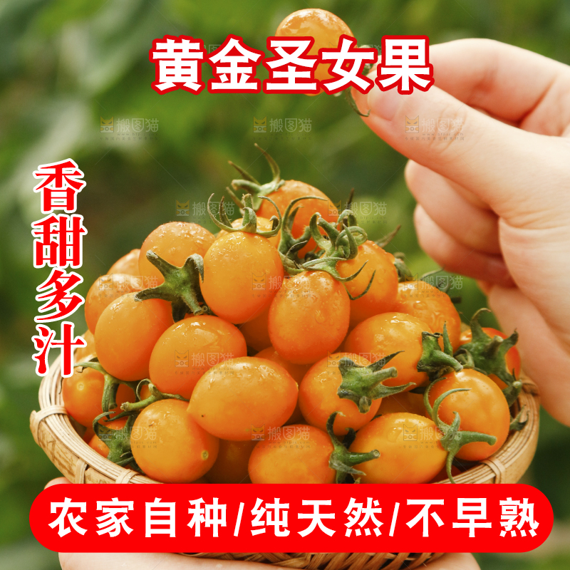 手里捧着一篮子黄金圣女果