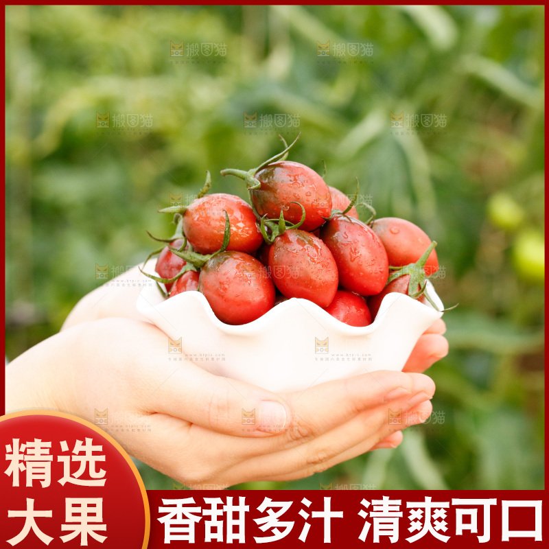 手里拿着紫葡萄小番茄