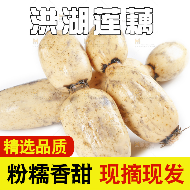 白底上放着白莲藕