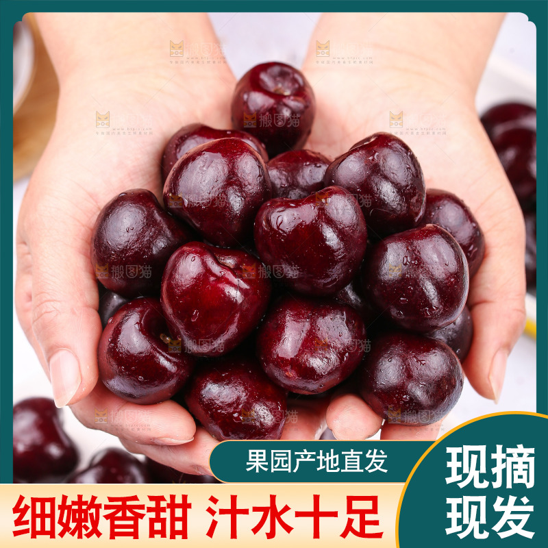 手里捧着美国进口车厘子