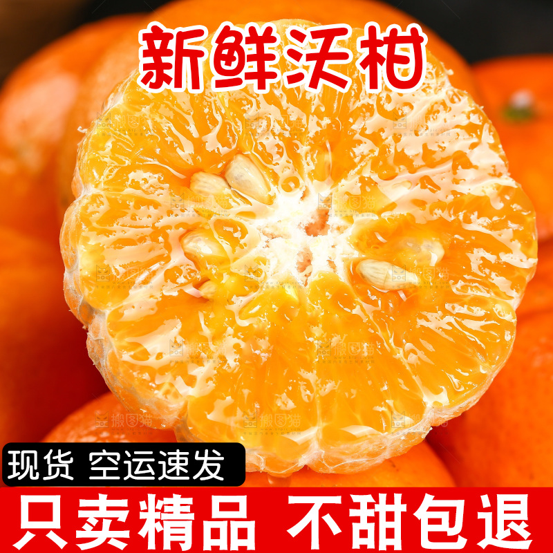 一堆新鲜沃柑