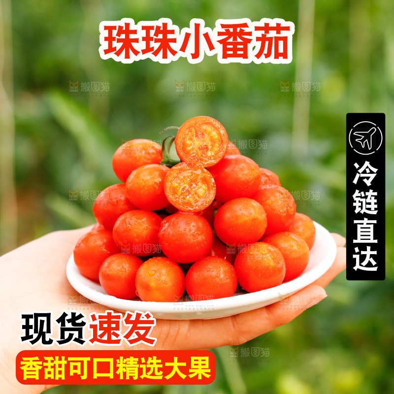 手里捧着一碟珍珠小番茄