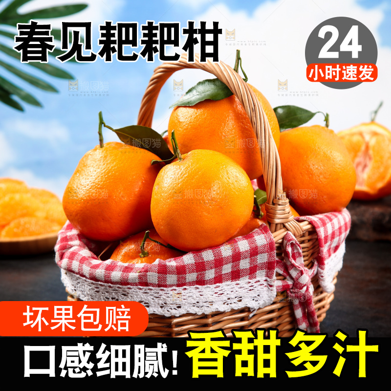黑底上放着一篮春见耙耙柑