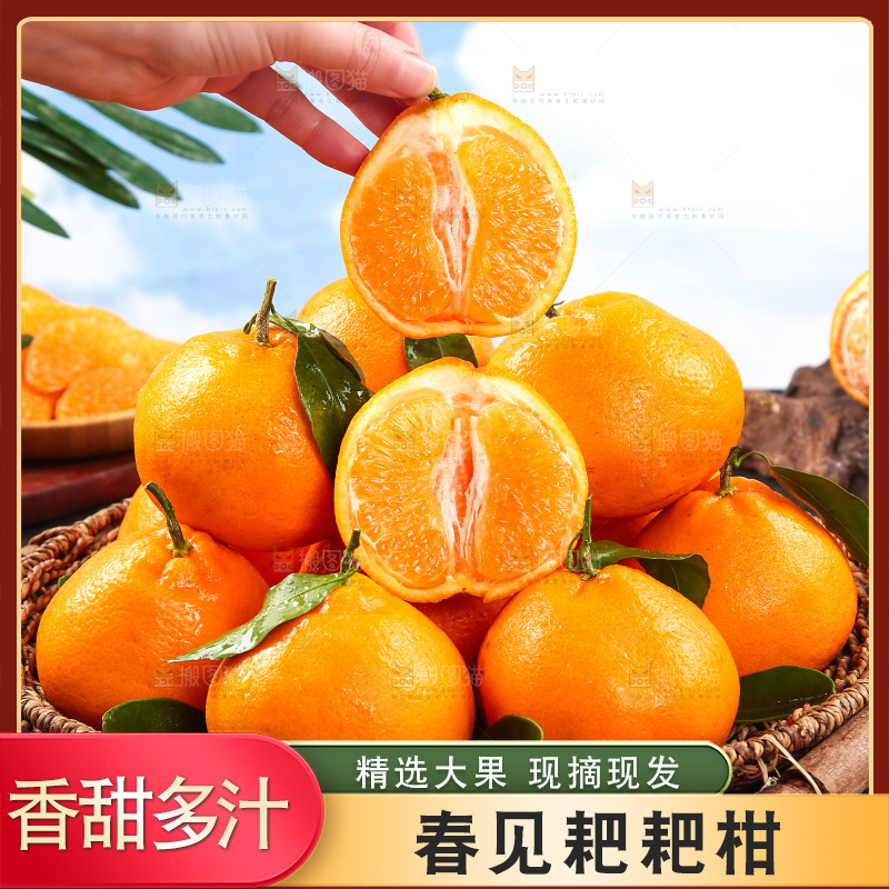 篮子里的新鲜耙耙柑