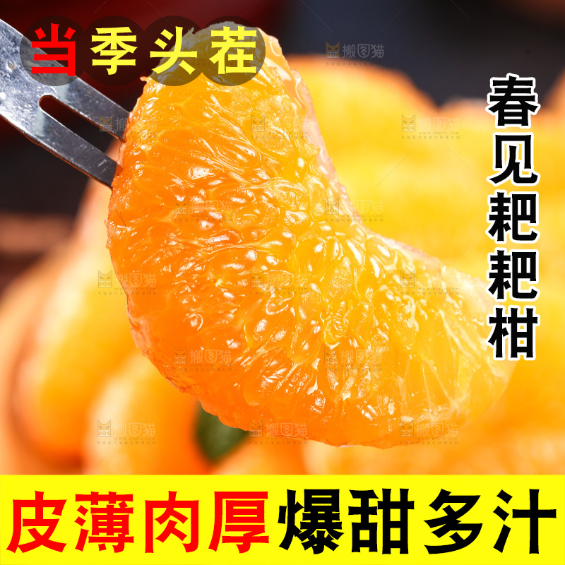 叉子上插着耙耙柑果肉