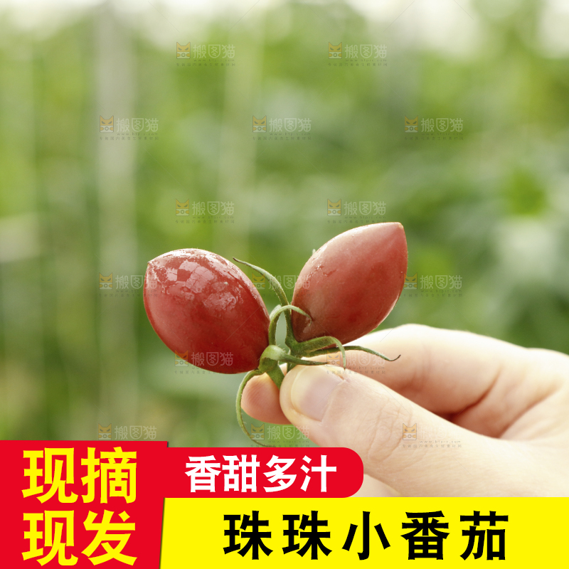 手里拿着珠珠小番茄