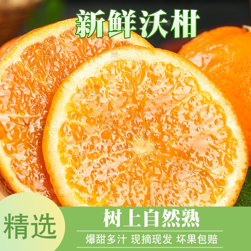 木板上放着广西武鸣沃柑