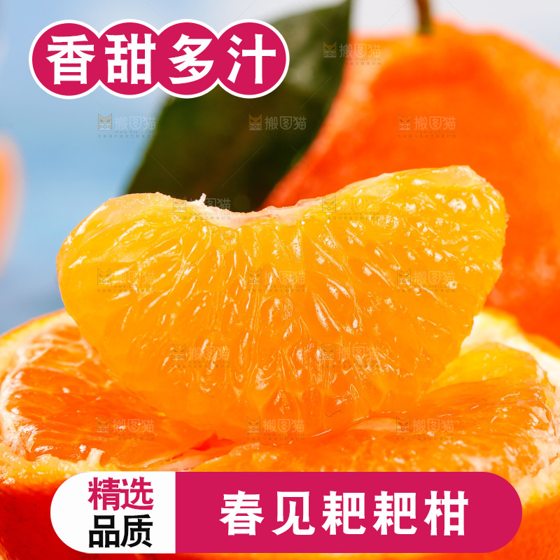 耙耙柑果肉特写