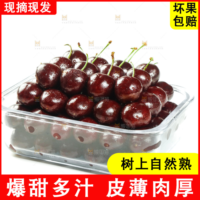 白底上放着美早大樱桃