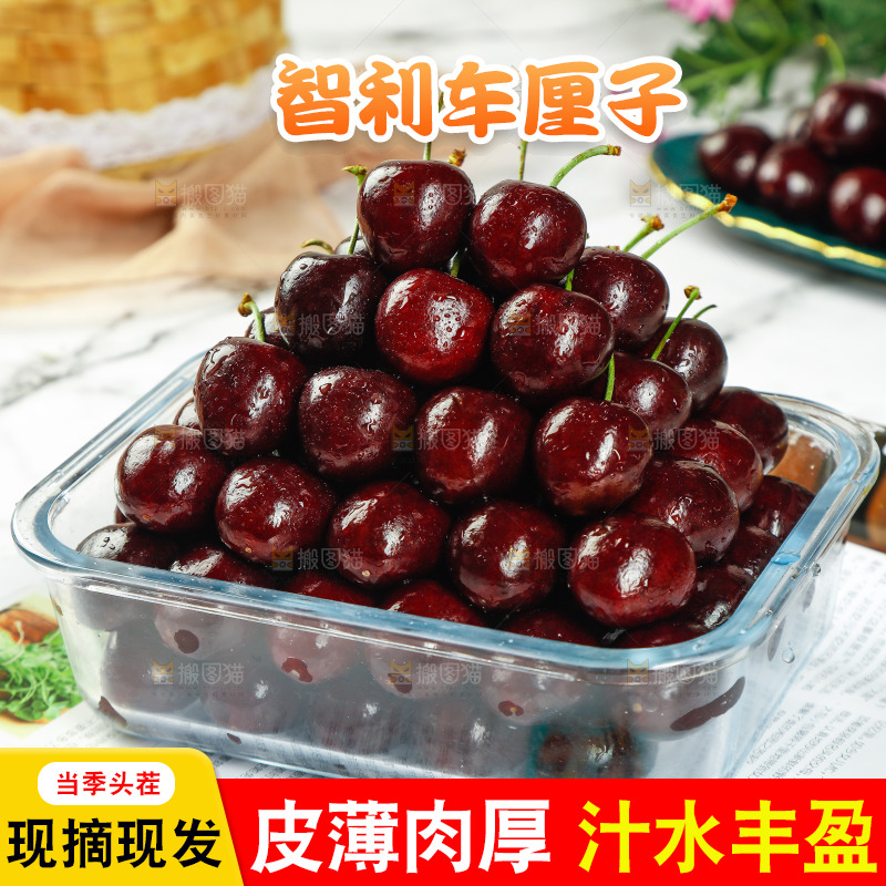碗里装着黑珍珠车厘子